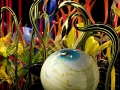 Glass Garden 3