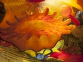 Glass Ceiling 2