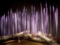 Glass Forest