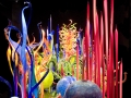 Glass Garden