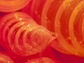 Orange Cone Closeup