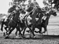 Ferndale Race