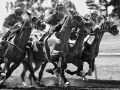 Ferndale Race