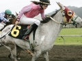 Mule Race Ferndale
