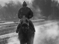 P-town rider