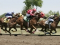 Quarter Horse Race Pleasanton