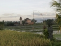 Balinese Rice Farm