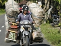 Hauling by Scoote_©nora-lee