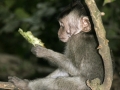 _MG_2089_©nora-lee