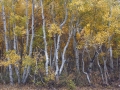 20171011_173810_©nora-lee