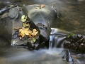 274_7457_©nora-lee