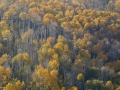 _56A0304_©nora-lee