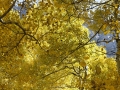 _56A0372_©nora-lee