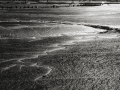 _56A1711_©nora-lee