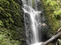 Berry Falls