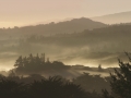 Fog Lifting at Crystal Springs