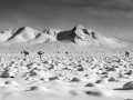 Hi desert snow scene copy