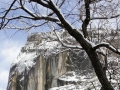 _MG_7700 copy
