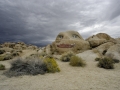 Rock Face