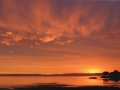 SFX Sunrise