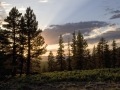 Sierra Sunset