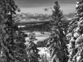 Sierra Snow Scene