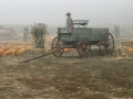 Wagon Pumpkins