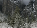 Yosemite in Winter