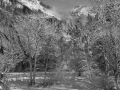 Yosemite in Winter 5
