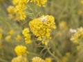 _56A8914_©nora-lee