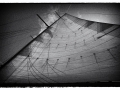 Black and White Sail