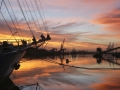 Morning on the Amy T