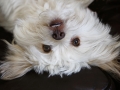 Party 'till yer upside down!
