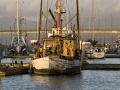 Safe Harbor