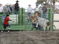 Upside down dismount